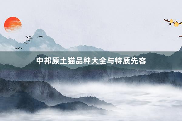 中邦原土猫品种大全与特质先容