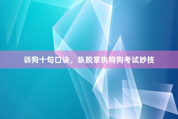 训狗十句口诀，纵脱掌执狗狗考试妙技